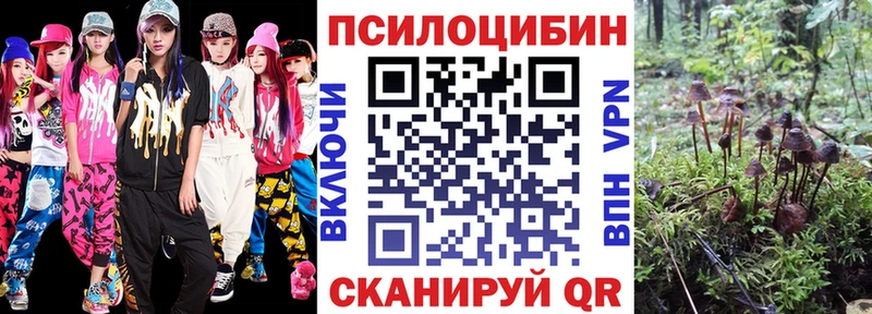 Галлюциногенные грибы прущие грибы  blacksprut рабочий сайт  Аргун 