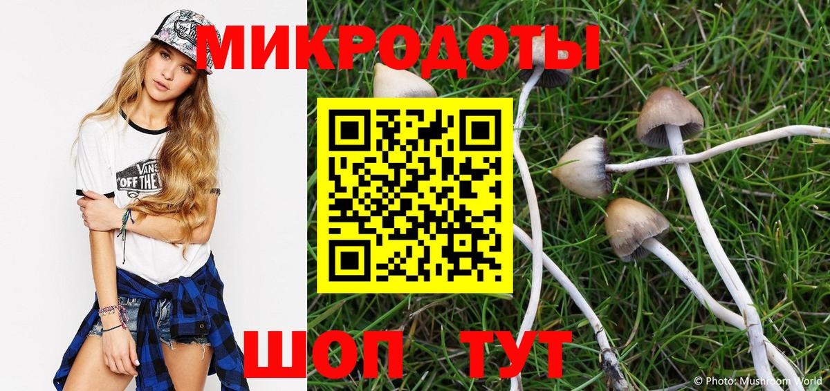 Галлюциногенные грибы Psilocybe Аргун