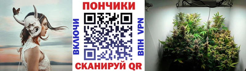 Бошки марихуана гибрид  дарнет шоп  Аргун 